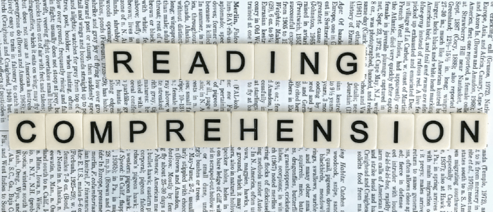 This is a decorative title image. It says reading comprehension. 